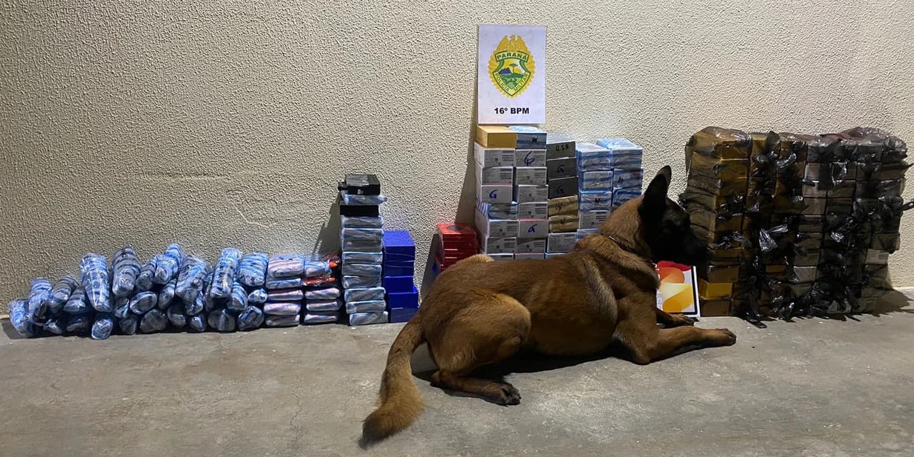Descaminho: Em Prudentópolis polícia apreende 120 celulares