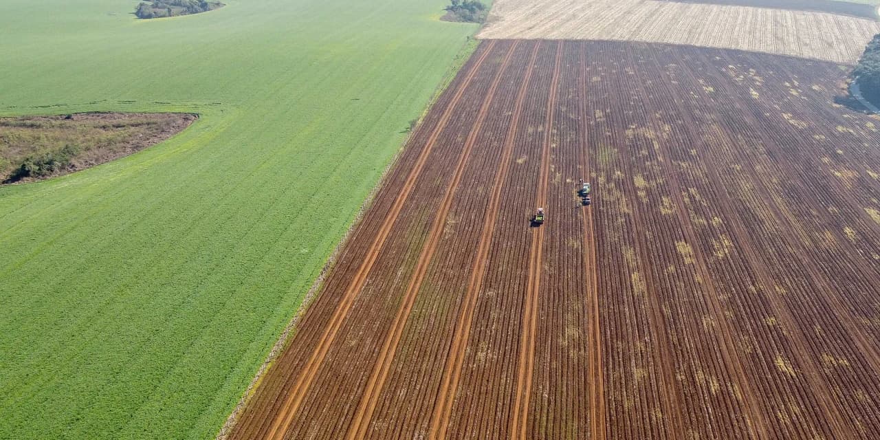 Governo do Estado divulga pesquisa com preços das terras agricultáveis no Paraná