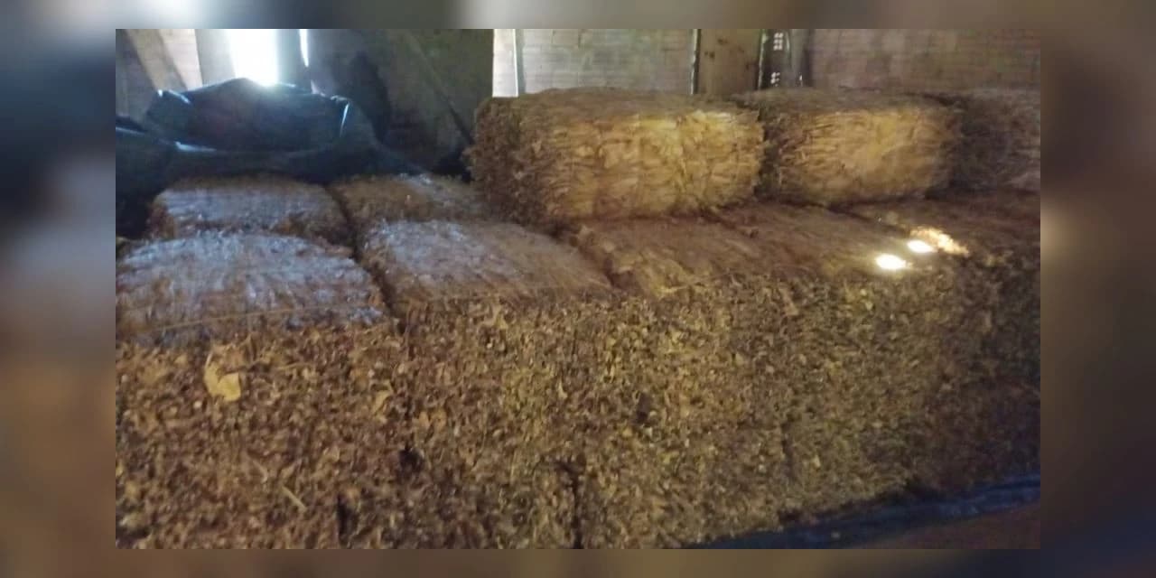 Em Guamiranga polícia registra o furto de quatro fardos de fumo