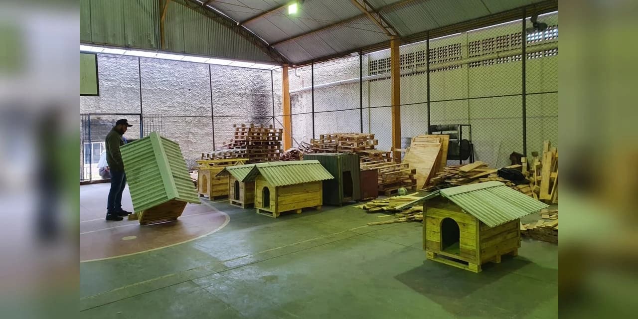 Casinhas feitas em penitenciária do Paraná vão ajudar a abrigar animais resgatados no RS