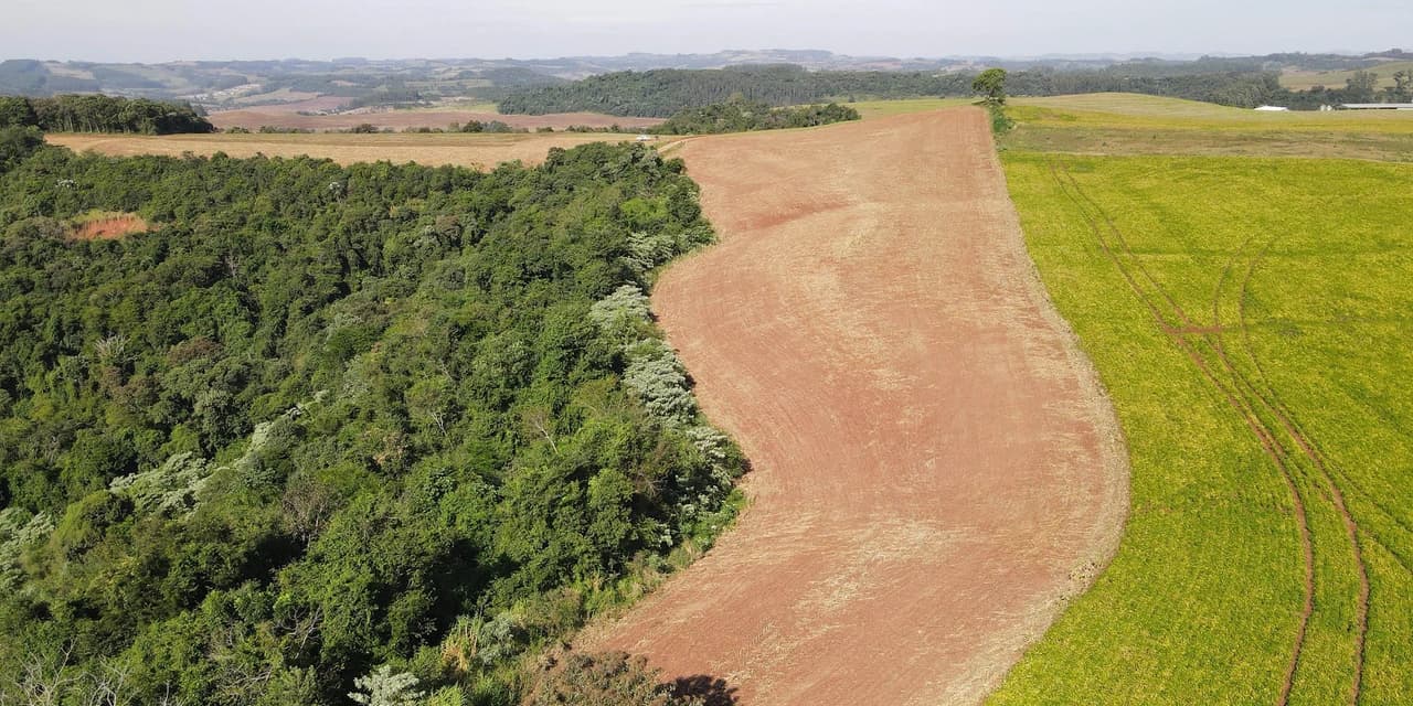 Ação contra desmatamento ilegal no Sudoeste resulta em R$ 2,8 milhões em multas