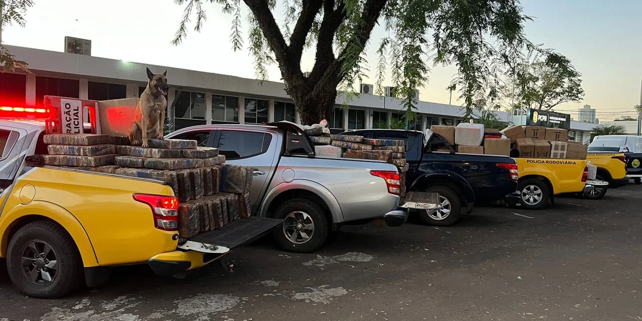 Polícia Militar do Paraná apreende 5,6 toneladas de maconha em Maringá