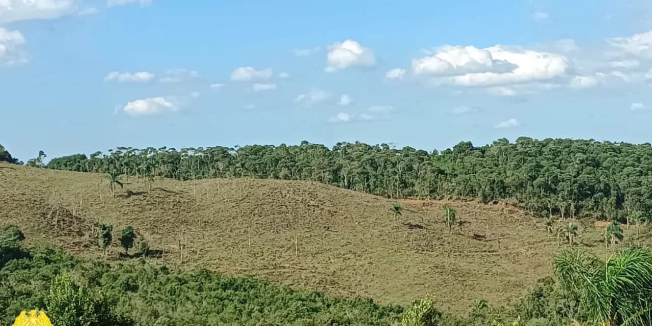 Em Inácio Martins homem foi multado em R$:55 mil reais por desmatamento de mais de 4,89 hectares