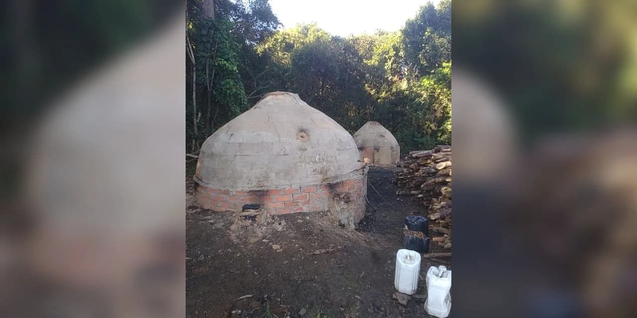 Em Ipiranga policiais ambientais constataram dois fornos para carvão sem licença ambiental