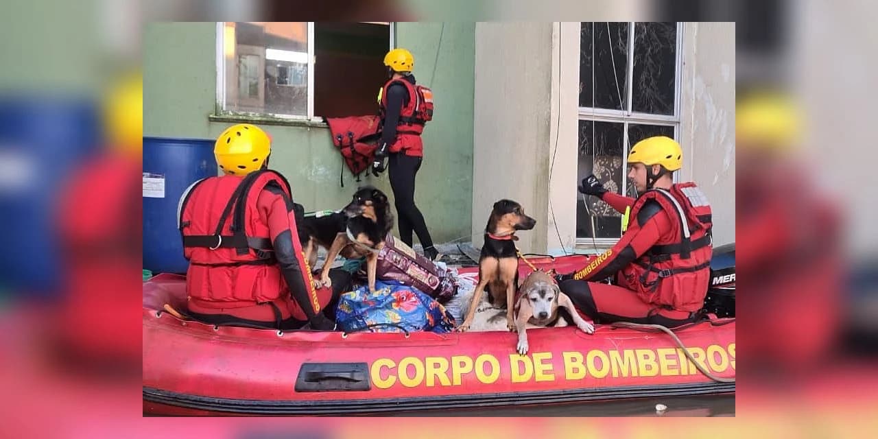Curso de resposta a desastres preparou bombeiros do Paraná para ação no Rio Grande do Sul