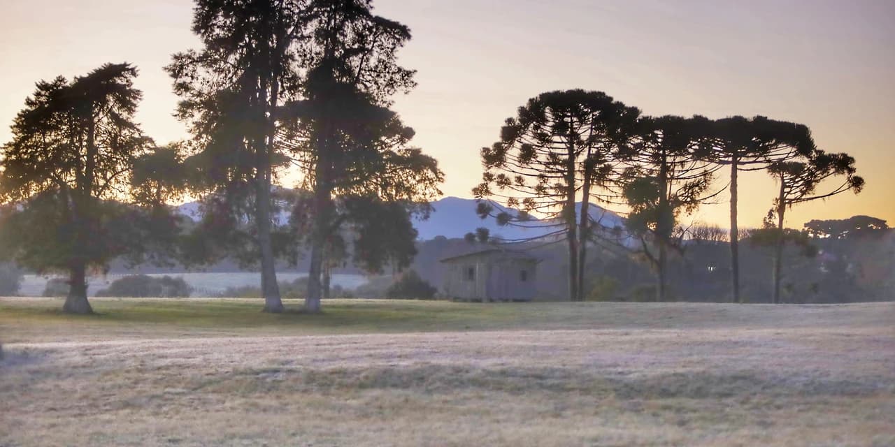 Após recorde de frio, temperatura sobe e Paraná volta a ter veranicos de inverno