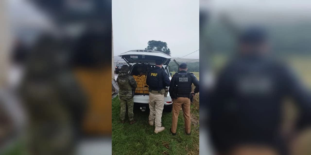 PRF e PM apreendem 1 tonelada de maconha em Cascavel