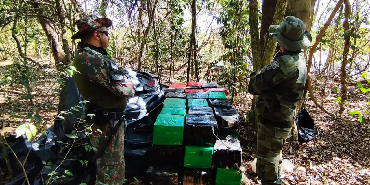 Batalhão de Polícia Ambiental apreende 933 quilos de maconha em Umuarama