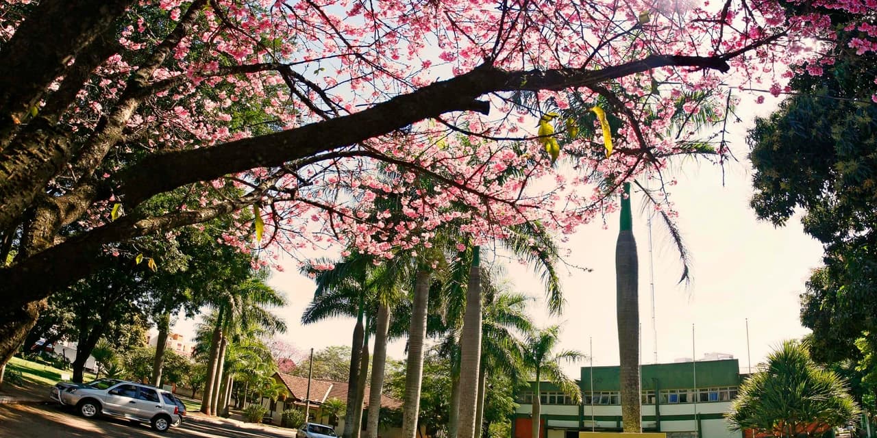 UEM ainda disponibiliza vagas para curso gratuito de empreendedorismo