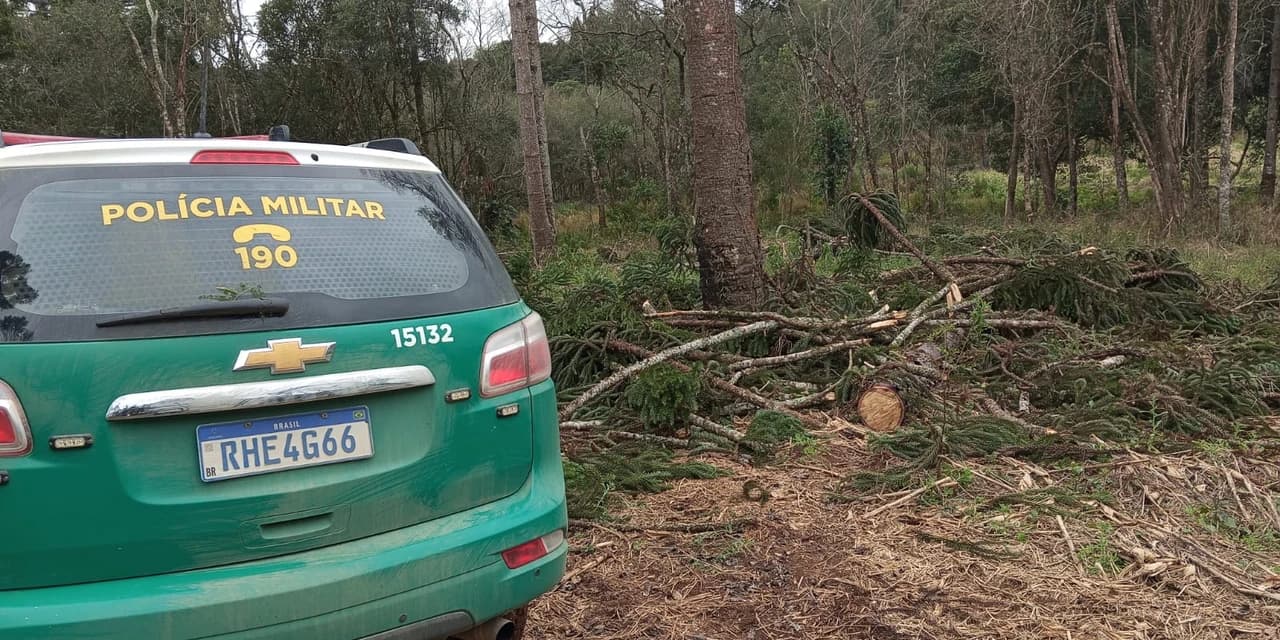 Em Guamiranga policiais ambientais aplicam multa no valor de R$ 34 mil