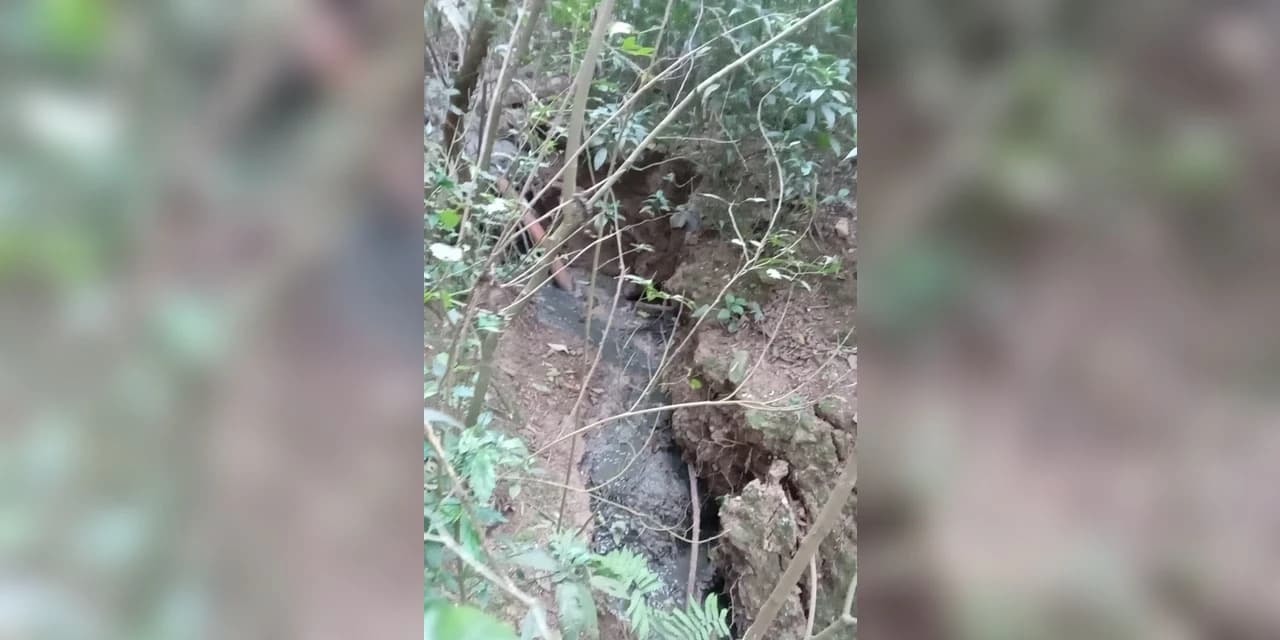 Em Ipiranga proprietário foi multado em 5 mil reais por descartar dejetos de suinocultura em nascente