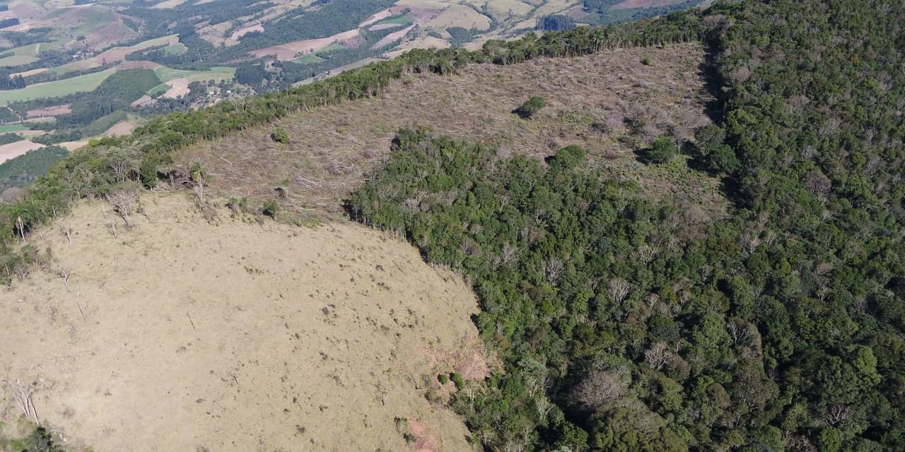 Em Prudentópolis proprietário foi multado em 42 mil por destruição de vegetação nativa