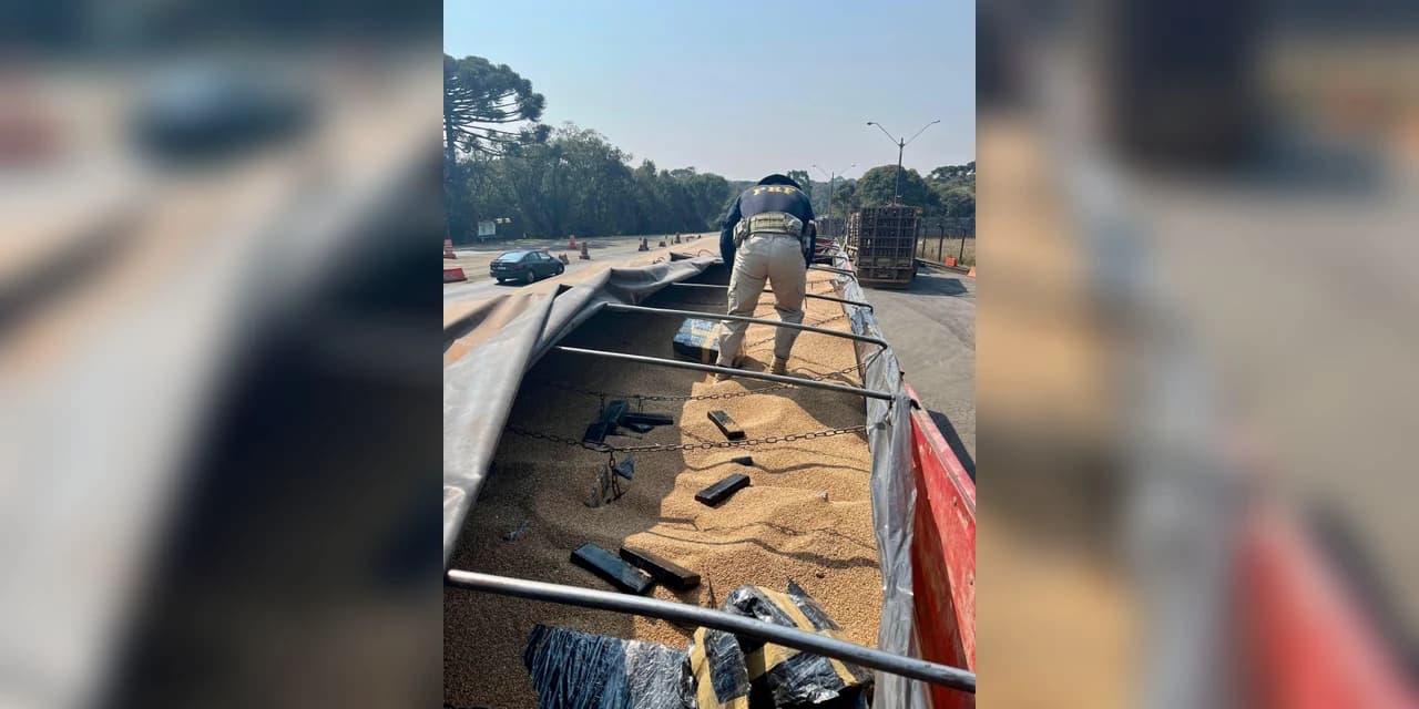 PRF apreende mais de 350Kg de maconha em Guarapuava-PR
