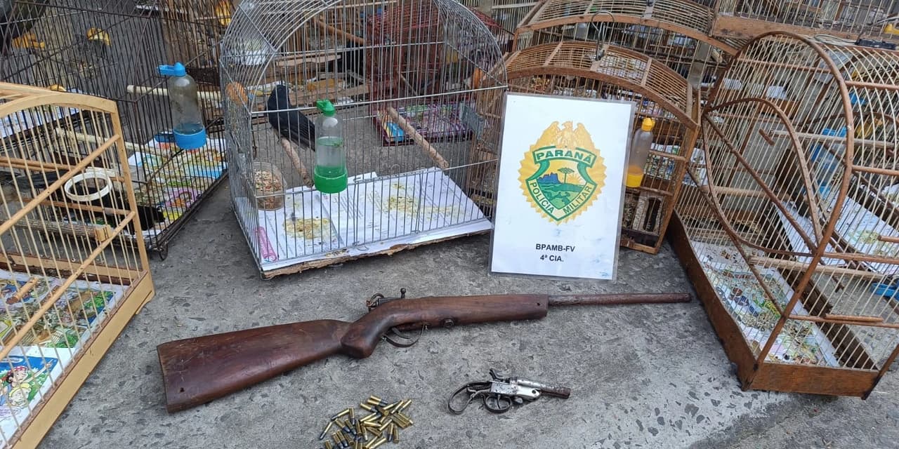 Em Irati policiais ambientais aprende 33 pássaros silvestres e 2 armas de fogo. O Individuo está preso a disposição da PC