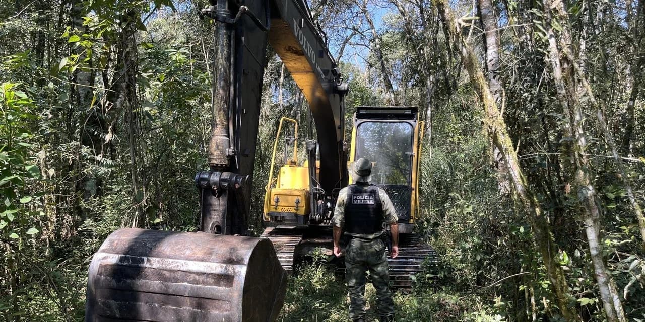 Em Guamiranga policiais ambientais aplicam multa e maquinários são apreendidos