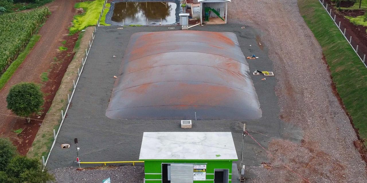Vizinhos compartilham biodigestor para produzir energia limpa da suinocultura