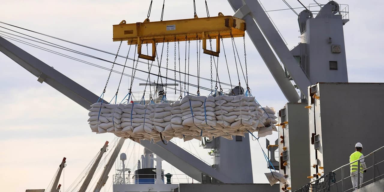 Exportações do Paraná somam US$ 15,9 bilhões nos oito primeiros meses de 2024