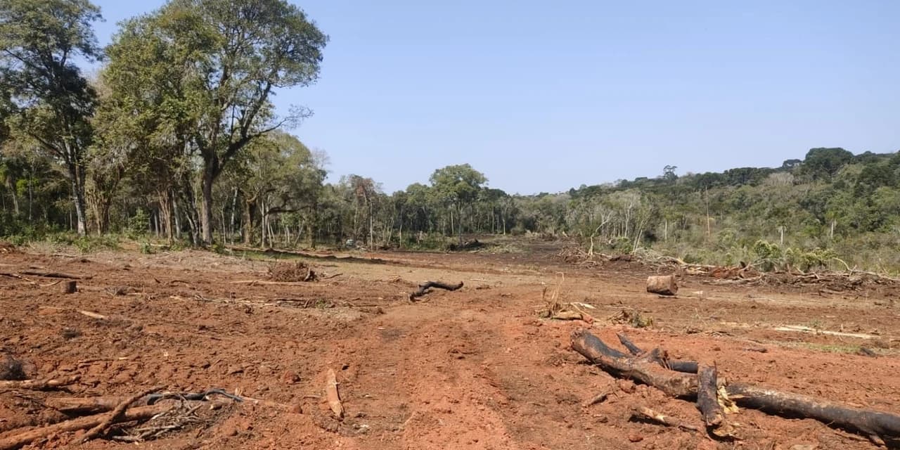 Em Guamiranga proprietariado foi atuado em mais de 30 mil pela destruição de vegetação nativa