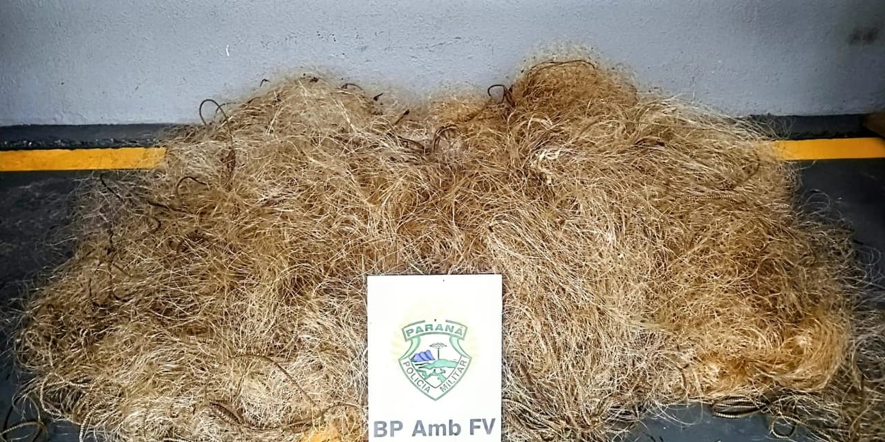 Policia Ambiental realiza a prisão de dois homens realizando pesca predatória no Rio Xangu