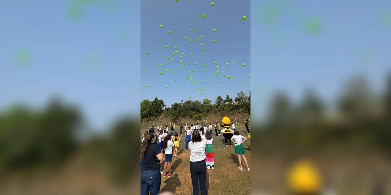 11 anos consecutivos; A escola Municipal Clotilde realiza o projeto "Sementes do Futuro"