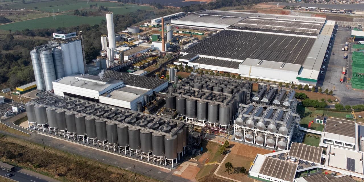 Do campo ao copo: indústria cervejeira investiu R$ 5 bilhões em 5 anos no Paraná