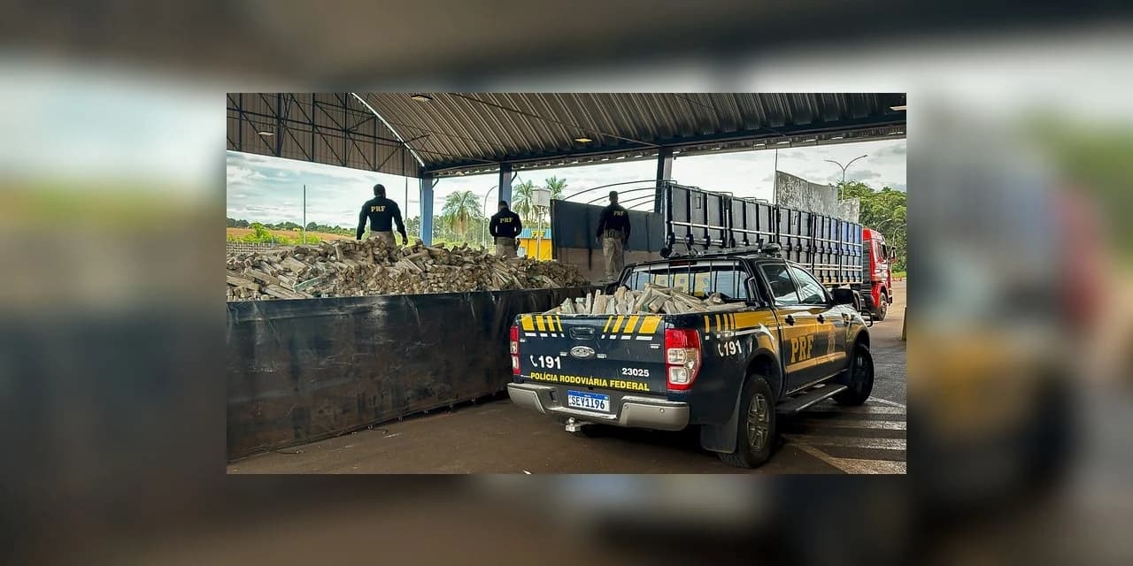 203 toneladas: PRF ultrapassa recorde histórico de apreensão de drogas no Paraná