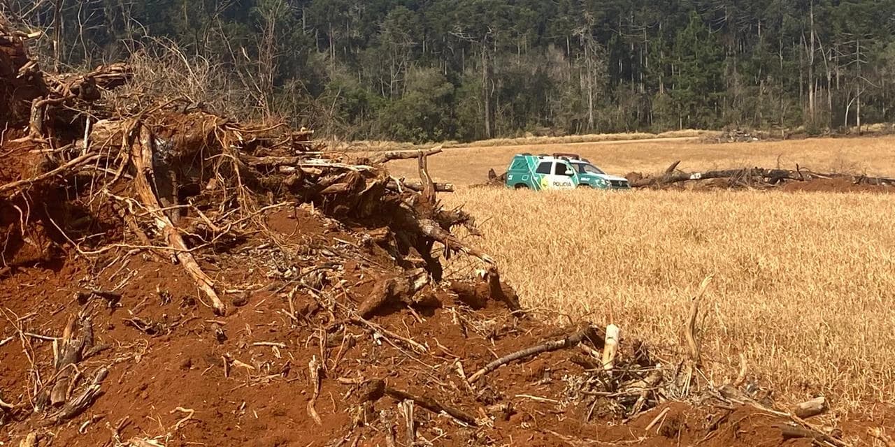 Proprietário Rural é Autuado em R$ 35 Mil por Desmatamento Ilegal de Mata Atlântica em Imbituva-PR