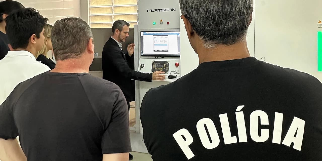 Morte de abelhas leva a Polícia Científica a identificar agrotóxico usado irregularmente no Brasil