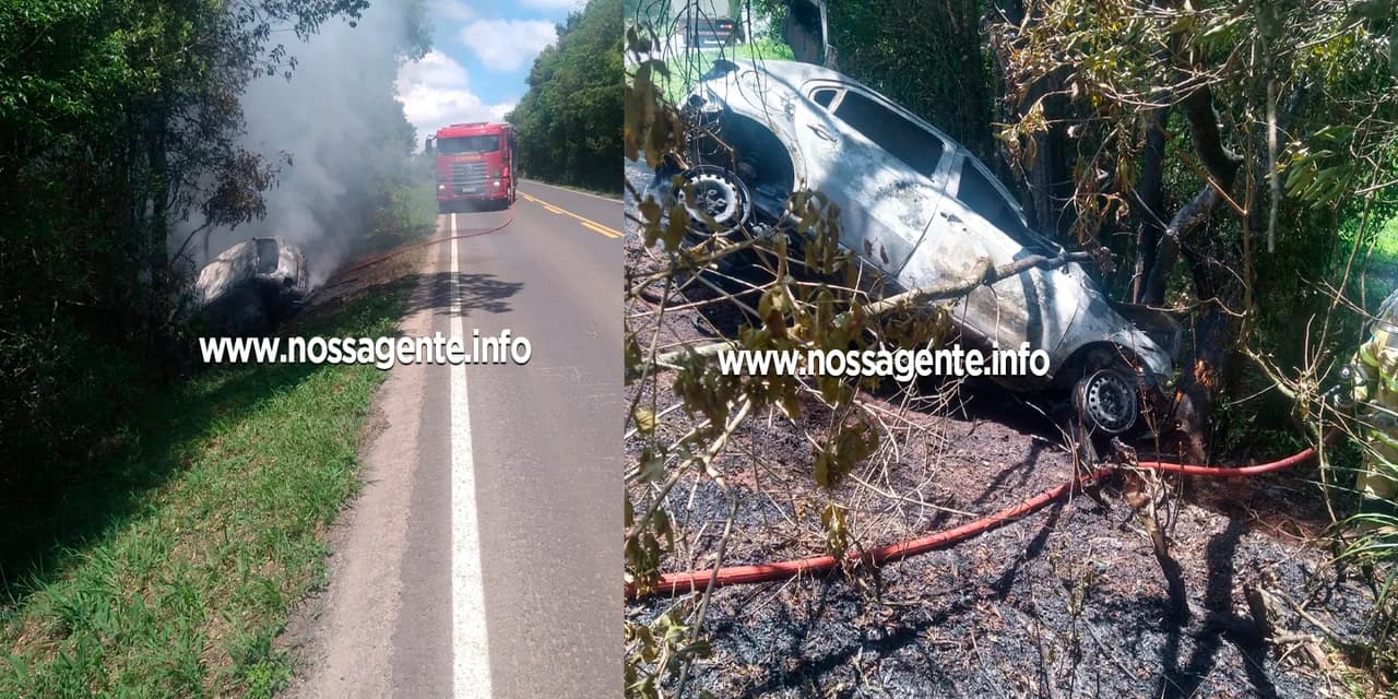 Veículo Sai da Pista e Incendeia-se Após Colisão Contra Árvore em Fernandes Pinheiro