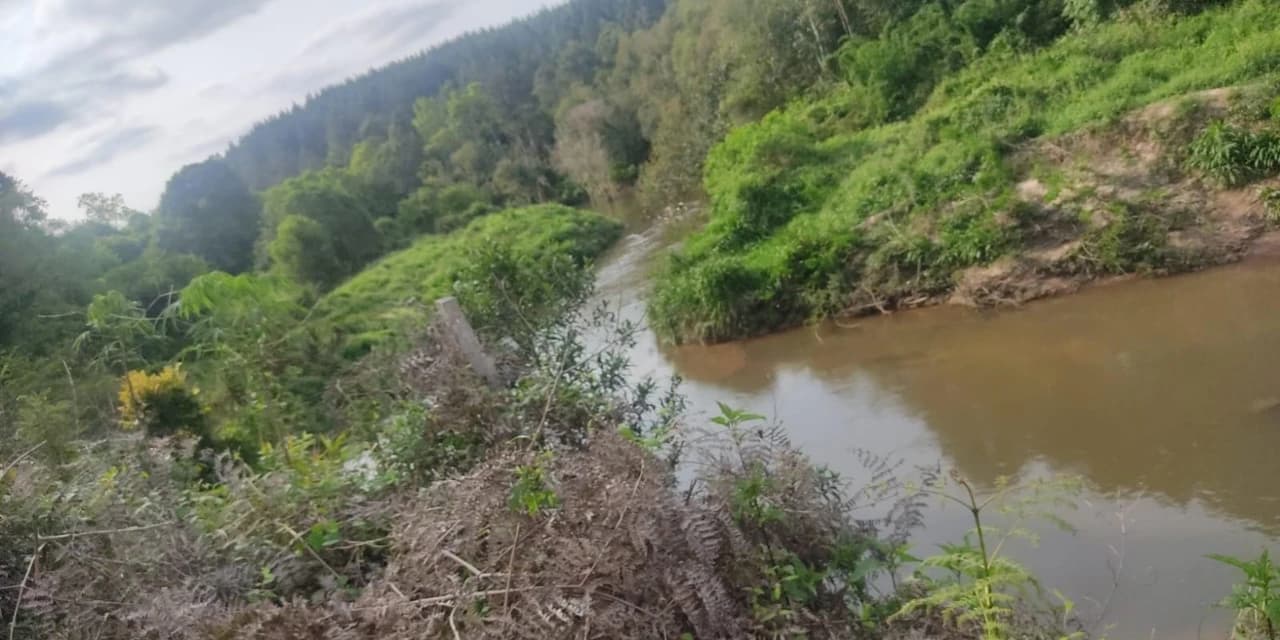 Polícia Ambiental Autua Proprietário Rural por Danos em Área de Preservação Permanente em Mallet