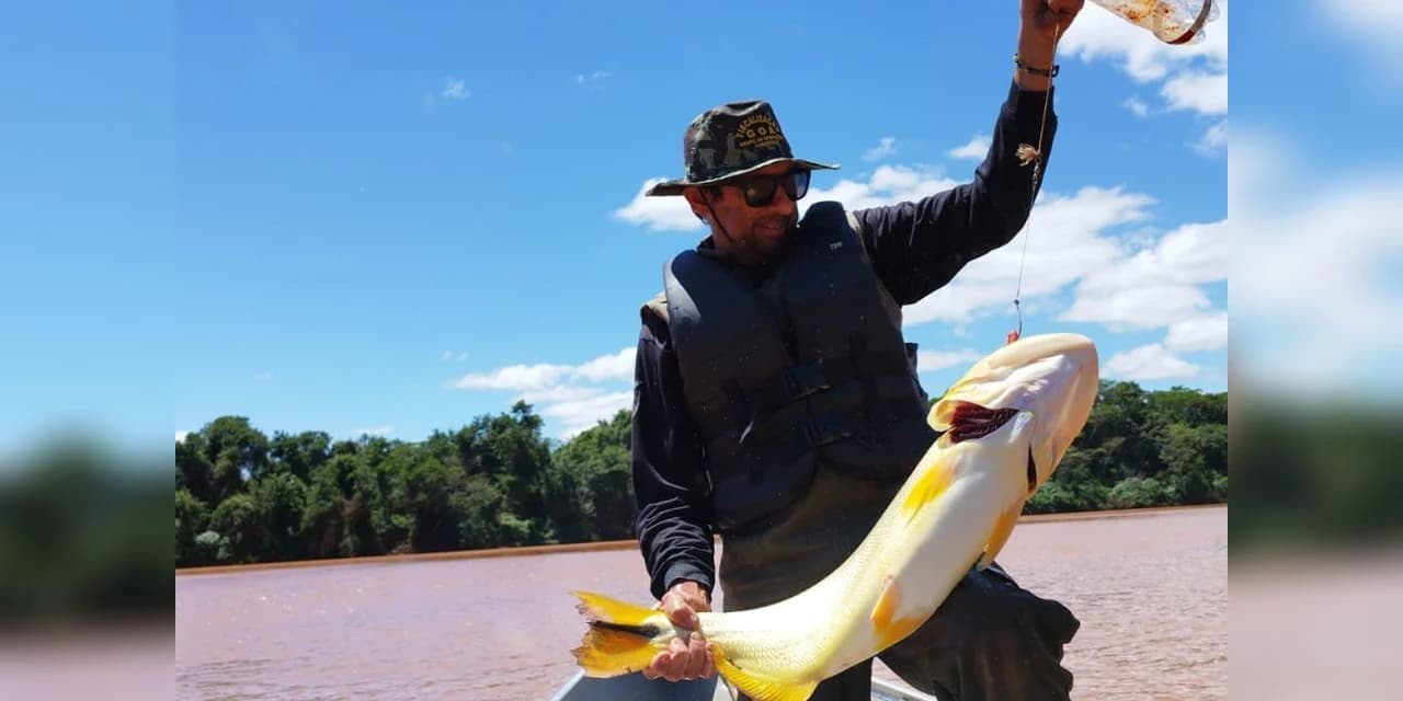 Piracema: proibição de pesca predatória na Bacia do Rio Paraná começa na sexta-feira