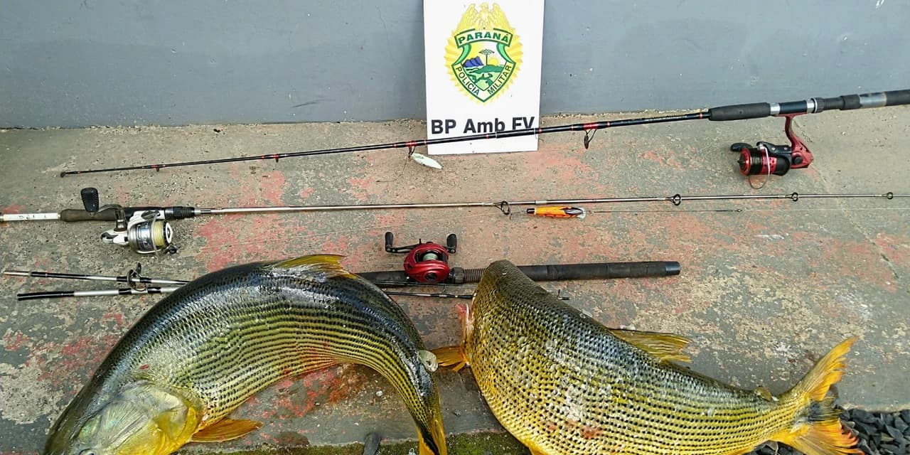 Piracema: Três pescadores são presos em Pinhão