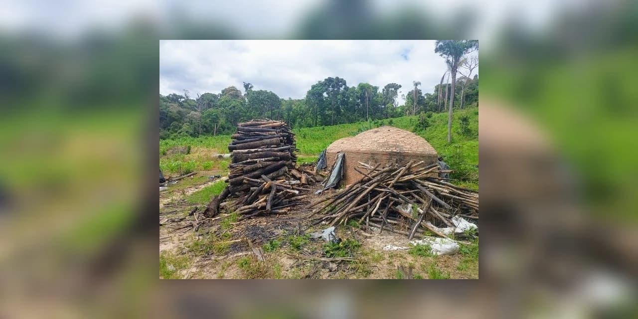 Crimes Ambientais em Prudentópolis Resultam em Multa e Embargo de Área