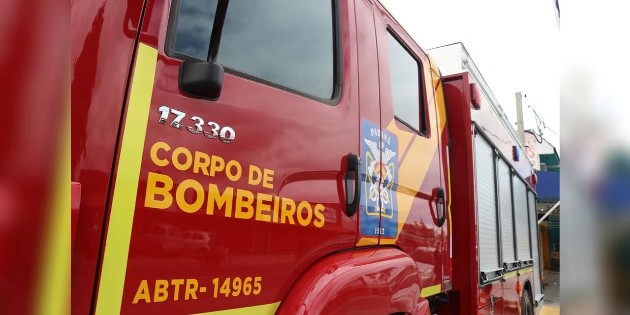 Em Irati homem sofre descarga elétrica ao tentar tirar uma calopsita que estava no fio do poste