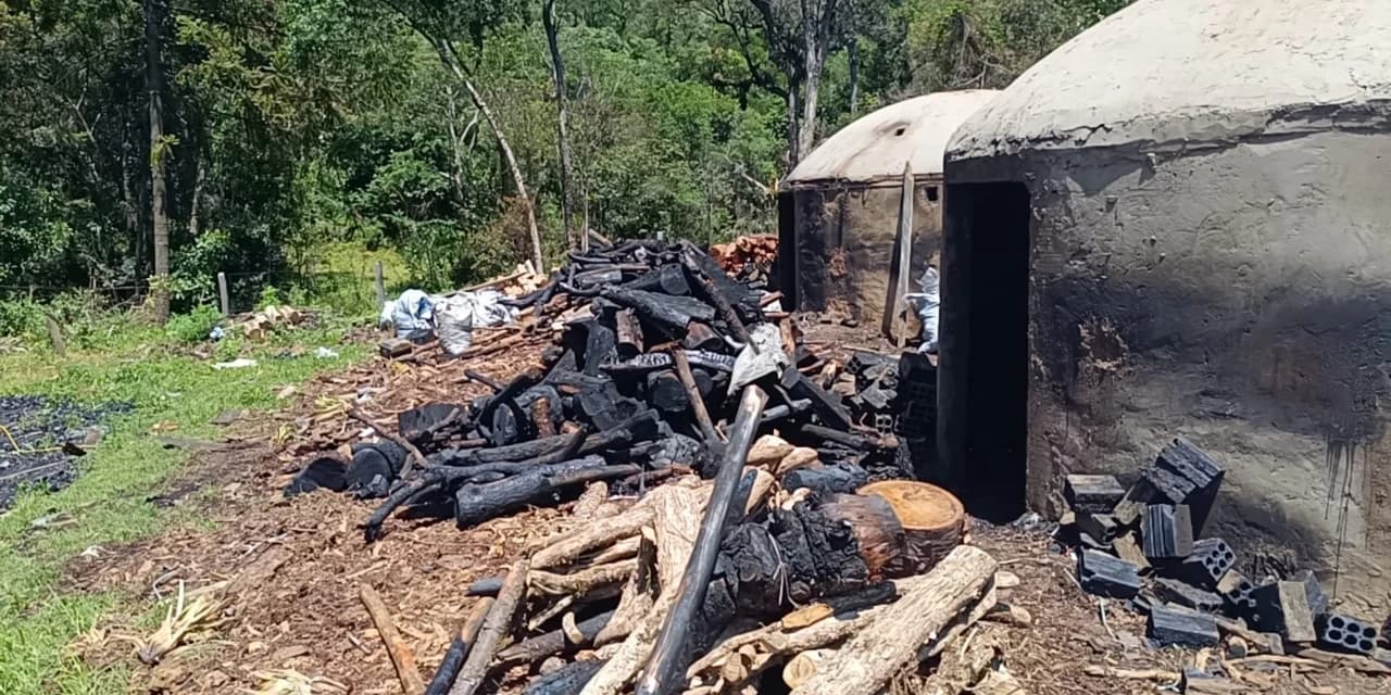 Polícia Ambiental localiza carvoaria irregular e trabalhadores em situação análoga à escravidão em Pinhão