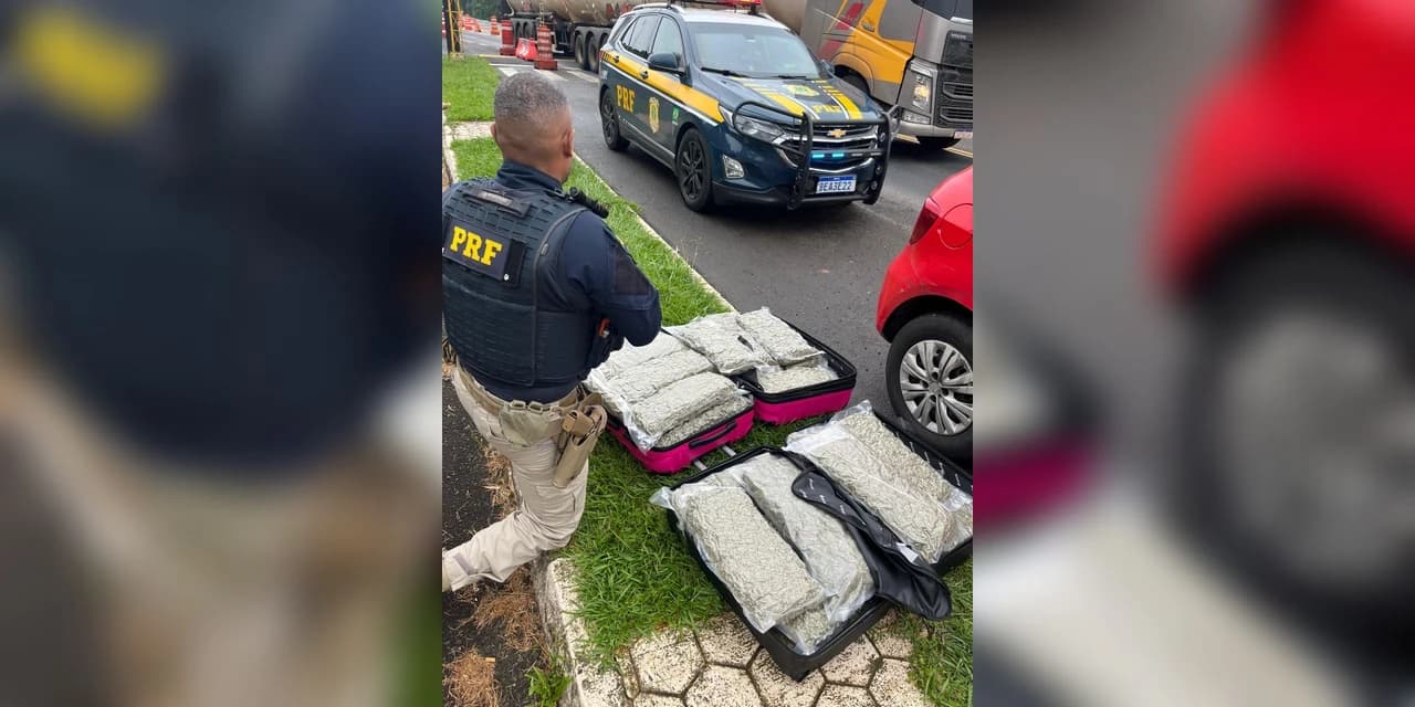 Polícia Rodoviária Federal apreende mais de 34 kg de skunk (variável da maconha) em Irati