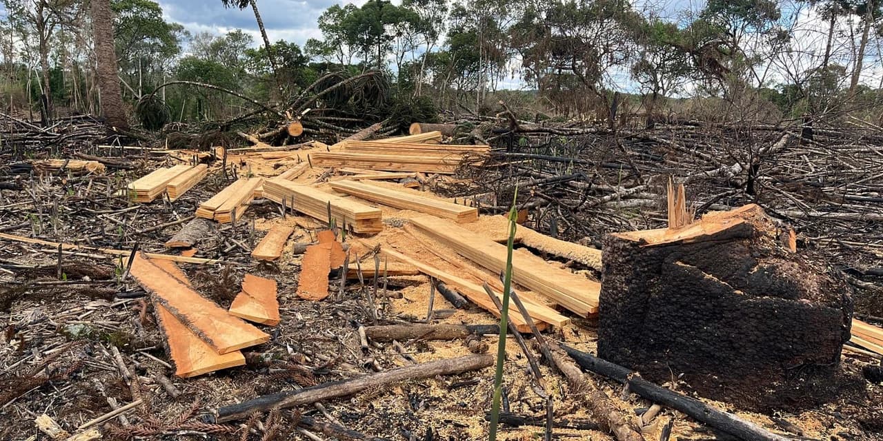 Polícia Militar Ambiental autua proprietário em mais de meio milhão de reais em Guarapuava