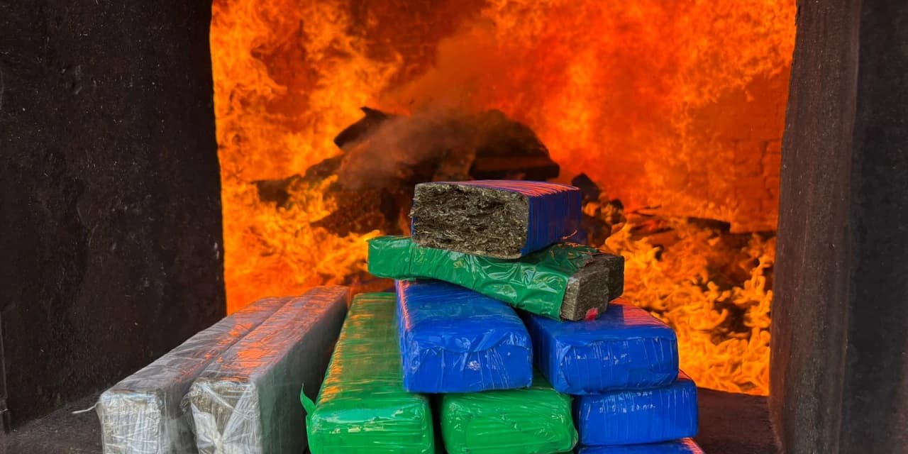 Polícia Civil de Palmeira realiza incineração de 532 quilos de drogas