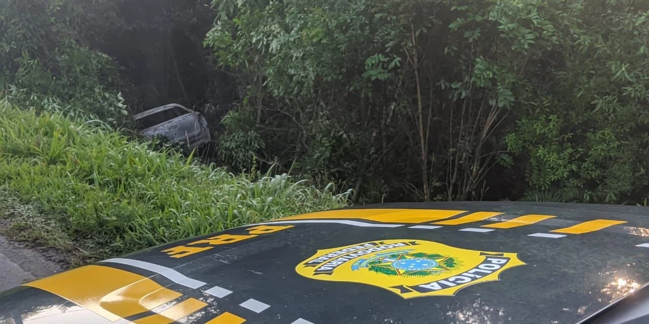 Homem morre após veículo sair da pista e pegar fogo na Br-153 em Rio Azul