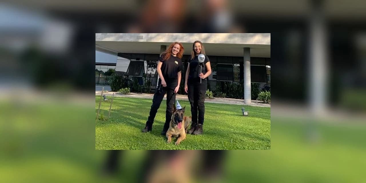 Com nome inspirado na técnica, Raman é o 1º integrante canino da Polícia Científica