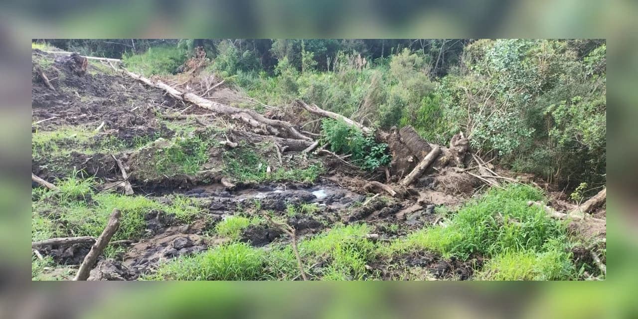 Polícia Ambiental autua proprietário em São João do Triunfo