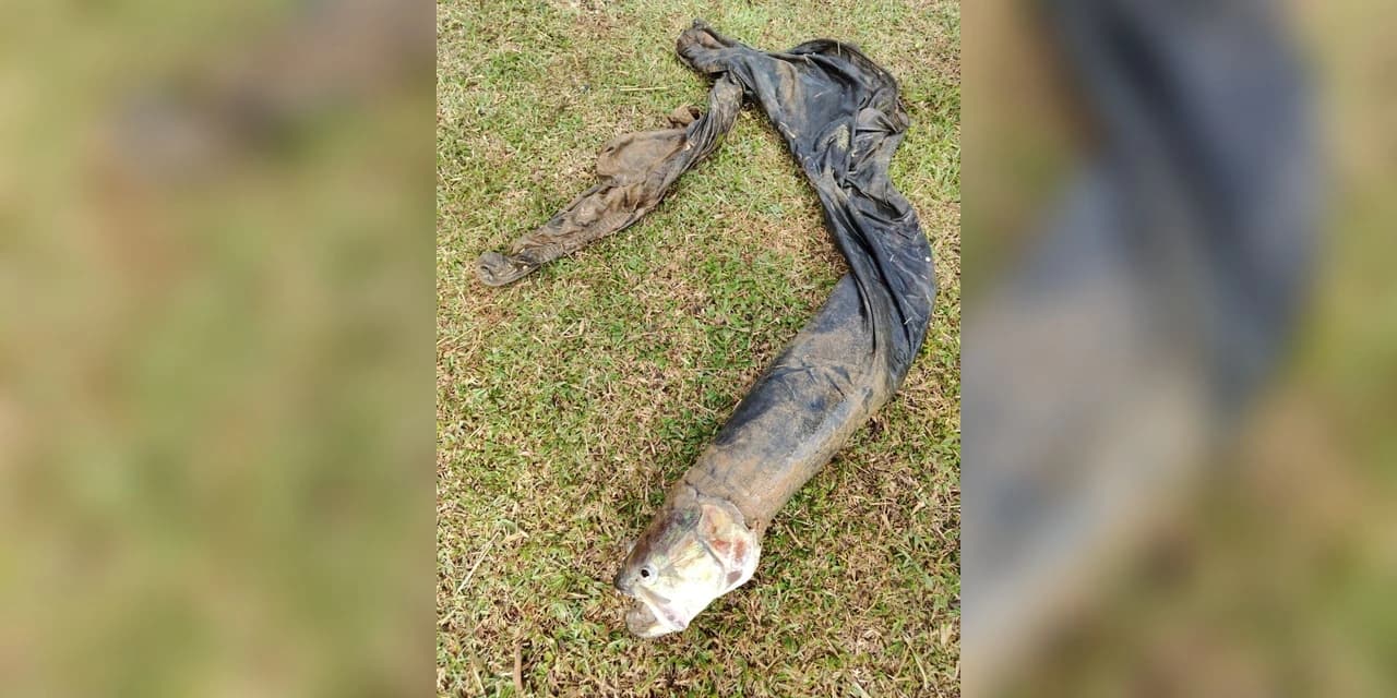 Corpo de Bombeiros é acionado para resgate de suposto cadáver em Prudentópolis, mas encontra peixe preso em calça