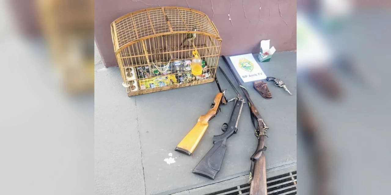 Polícia Ambiental apreende armas de fogo e pássaro silvestre em Tibagi