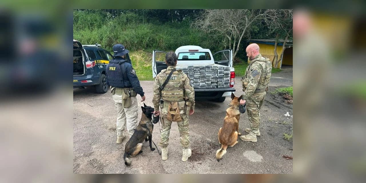PRF apreende 104 quilos de cocaína em abordagem na BR-476, em Araucária