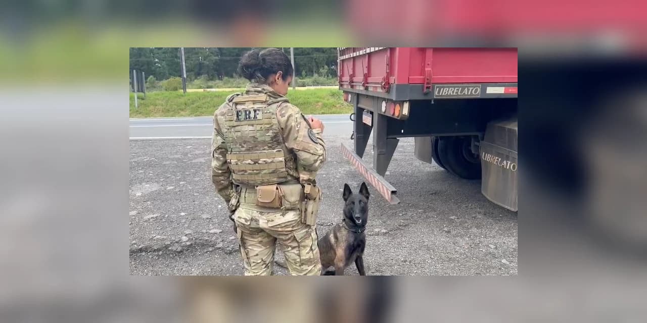 PRF apreende mais de 100 quilos de cocaína na região metropolitana de Curitiba (PR)