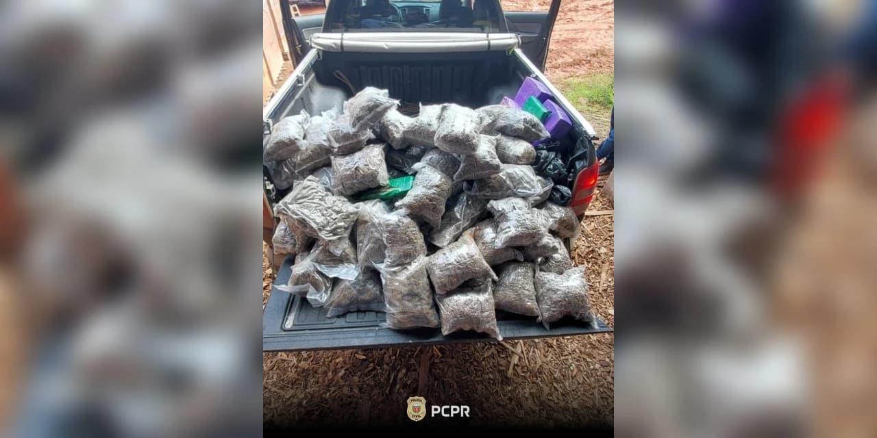 Polícia Civil de Prudentópolis realizou a incineração de mais de 125 quilos de entorpecentes