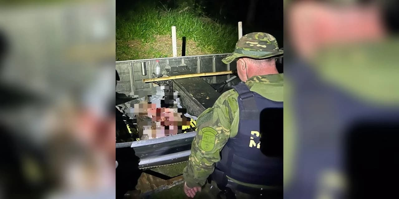 Homem é preso em flagrante por caçar animal silvestre e porte ilegal de arma de fogo