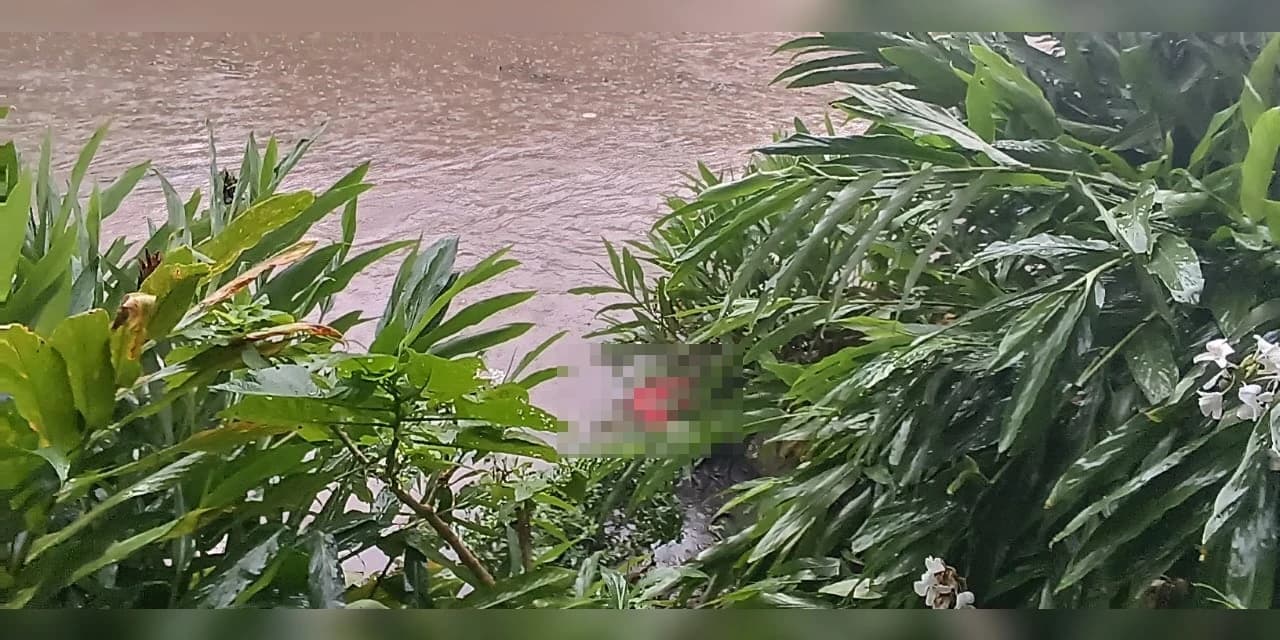 Homem é encontrado morto no barranco de rio em Irati