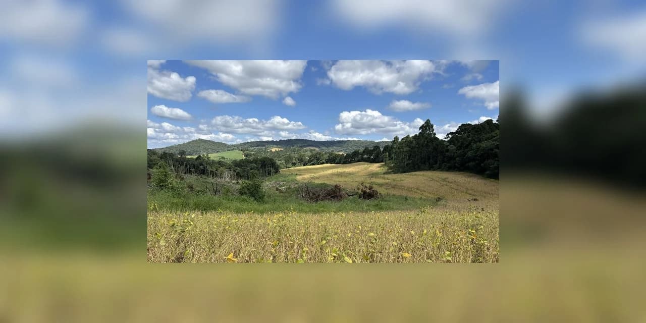 Polícia ambiental autua proprietários em Imbituva e Castro