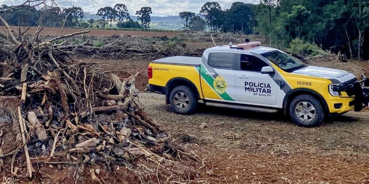 Polícia ambiental embarga área em Imbituva após destruição de vegetação nativa